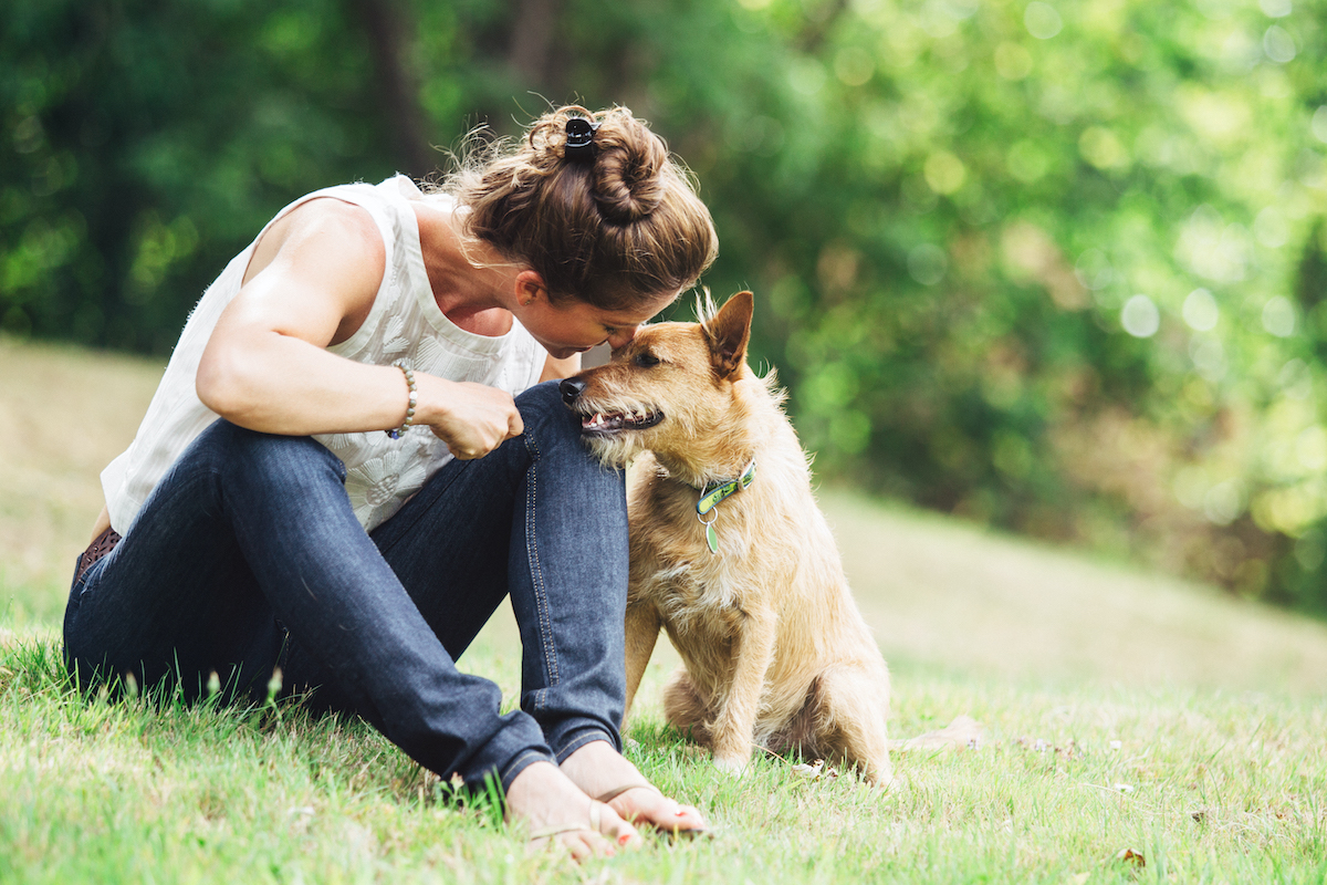 Almost every owner loves to talk to their dog.