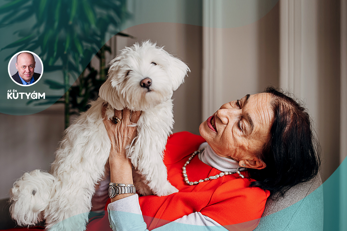 Top 7 dog breeds that are ideal for elderly people
